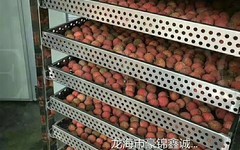 漳州荔枝烘干机，新型环保节能的烘干机设备
